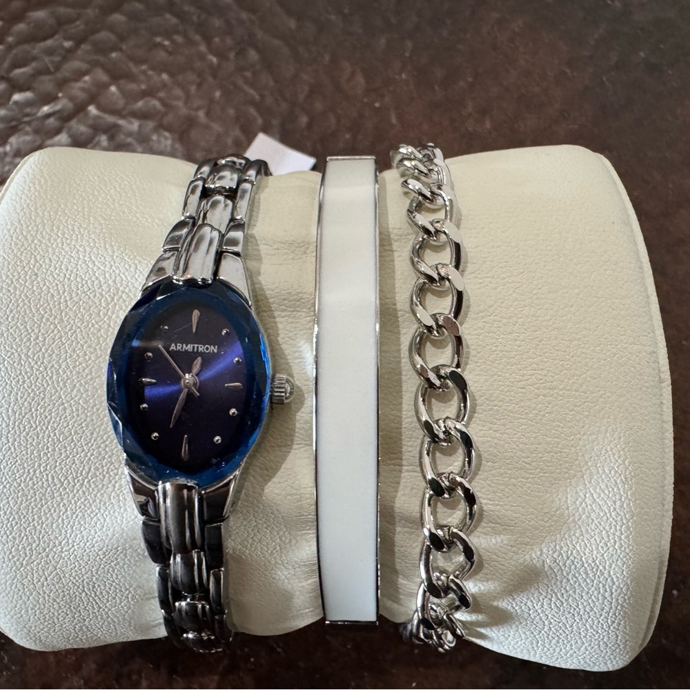 Armitron Blue and Silver Watch with Striking Dial